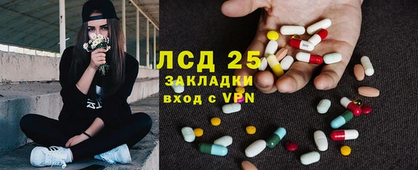 эйфоретик Аркадак