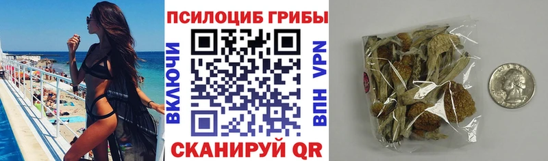 гидра рабочий сайт darknet как зайти Псилоцибиновые грибы Psilocybine cubensis Полысаево